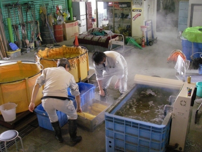 温湯消毒開始
