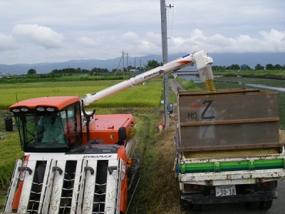 稲刈り始まりました!