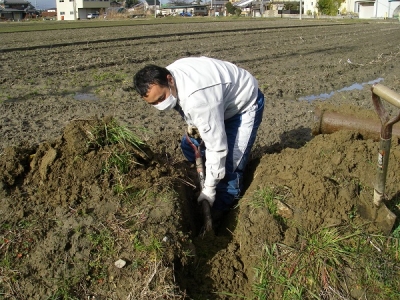 なかなか丸一日晴れた日がないですね・・・