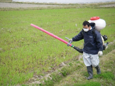 小麦の追肥