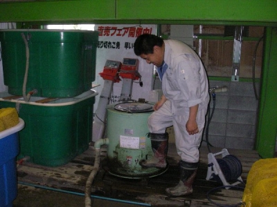 水稲の播種を開始しました