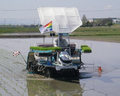 田植え開始