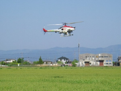 小麦の無人ヘリ防除