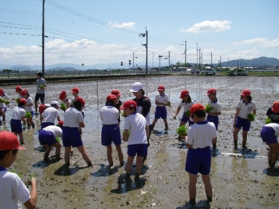 スクール農園
