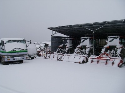 この冬初めての積雪です。