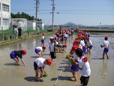 スクール農園