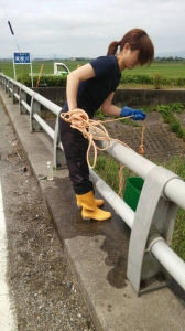 近隣河川の水質調査