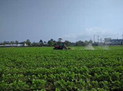 大豆中耕培土