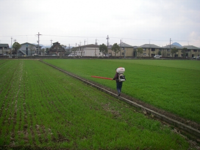 穂肥散布