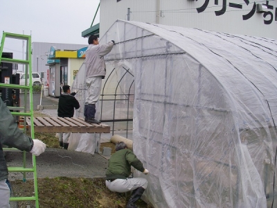 ハウスのビニール張り